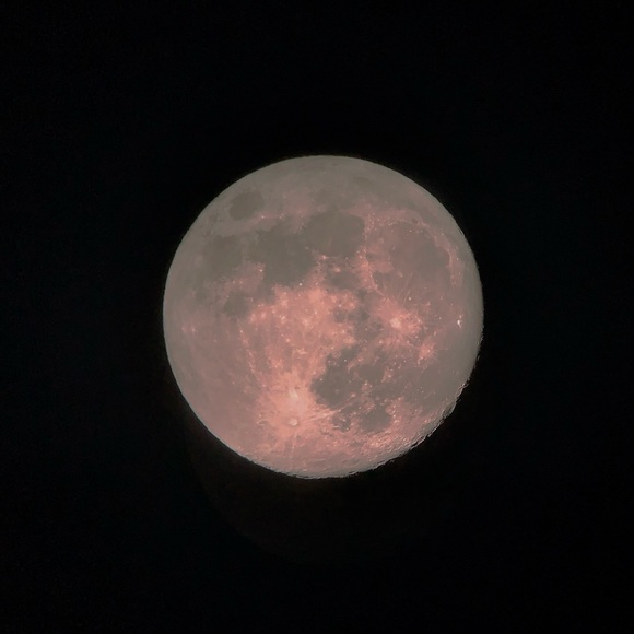 Meet your Posher, Lalisha - Picture 1 of 1